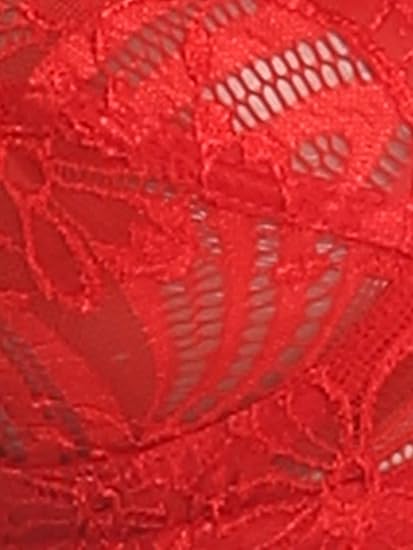 Clovia Women’s Light Red Lace Solid Full-Cup Bra – Non-Padded, Wire-Free Comfort
